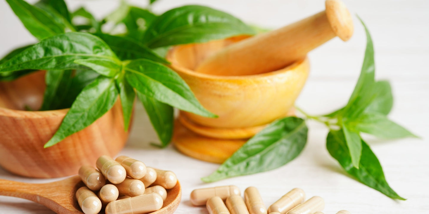 What Is Naturopathic Medicine, Actually? Understanding the Principles Behind the Practice