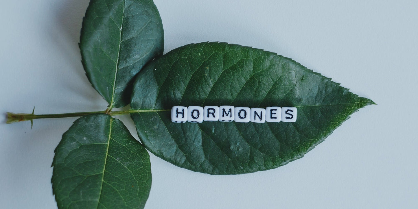 Your Hormones Are Running the Show. Here's What They're Actually Doing.