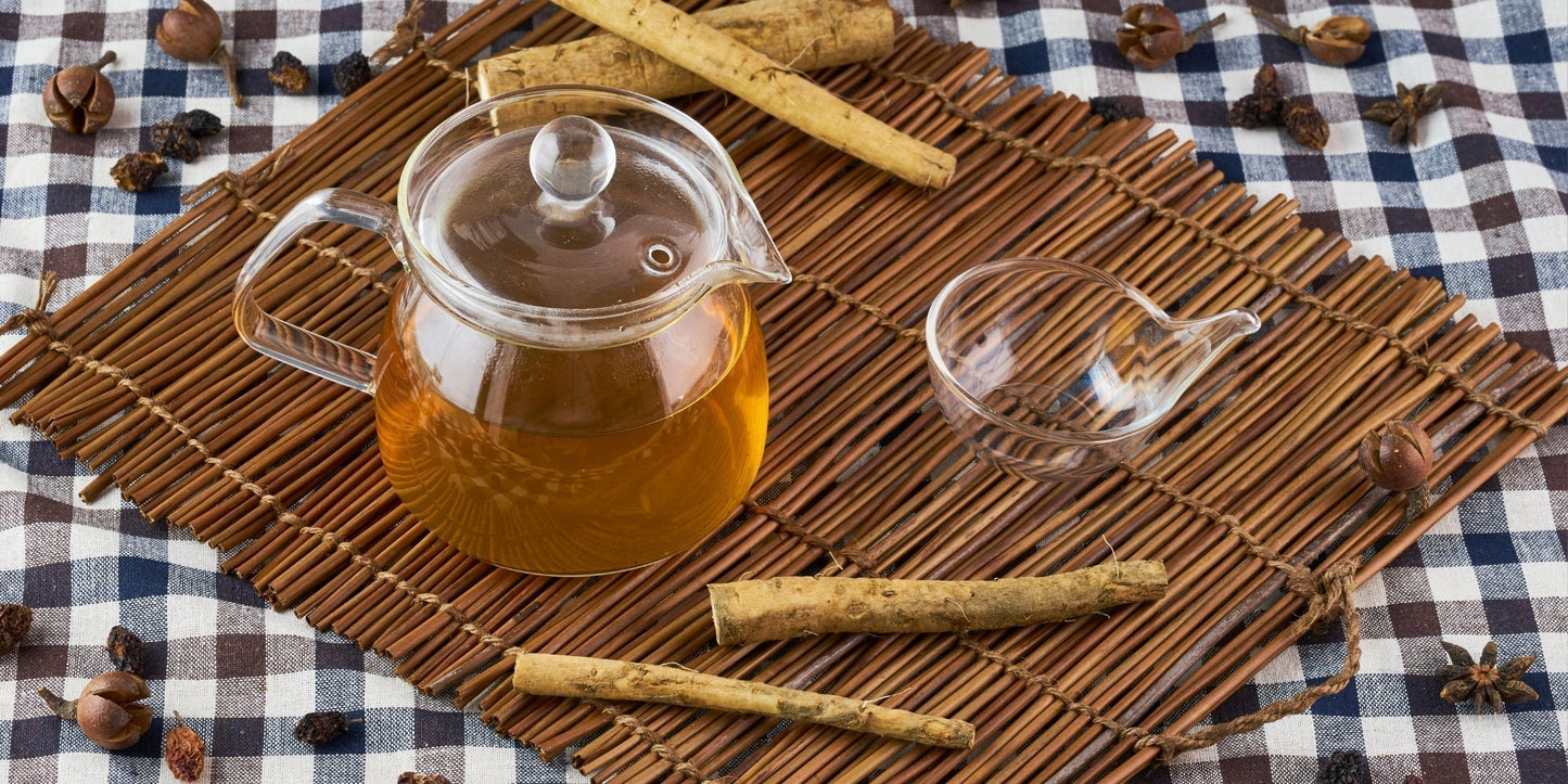 The Deep Medicine of Burdock Root: Why This Ancient Decoction Still Matters
